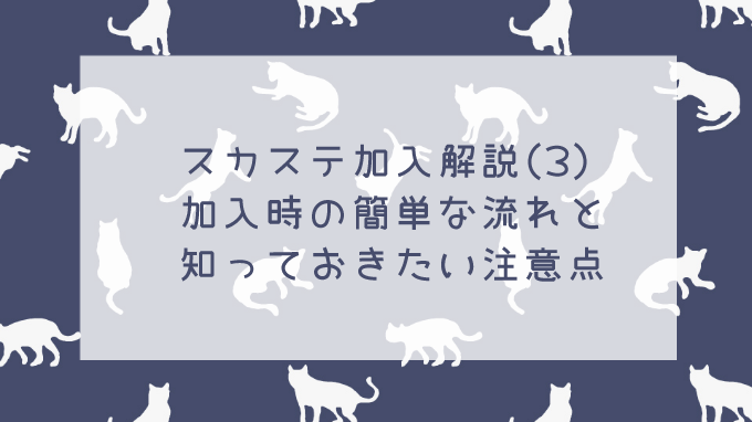 スカステ加入時の簡単な流れ＆注意点