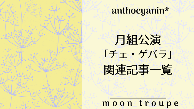 月組公演「チェ・ゲバラ」関連記事まとめ