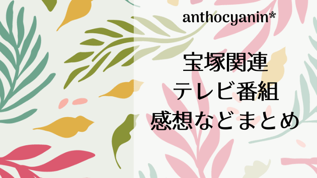 テレビ番組感想まとめ